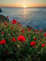 Italiano a tu medida: clases particulares. 4