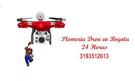 plomeria dron 3193512613 plomeros en todo bogota 
